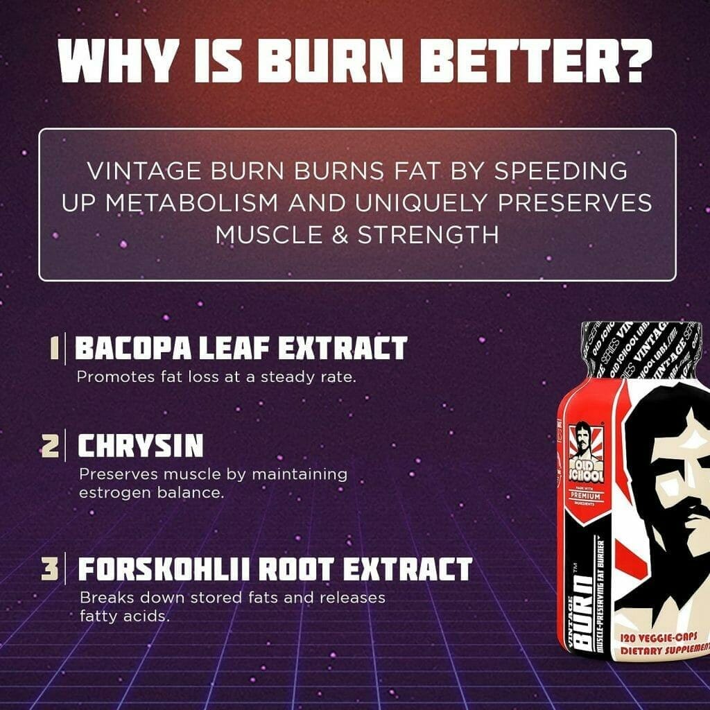 VINTAGE BURN Fat Burner - The First Muscle-Preserving Fat Burner Thermogenic Weight Loss Supplement – Keto Friendly, Appetite Suppressant - For Men and Women - 120 Natural Veggie Diet Pills : Health  Household