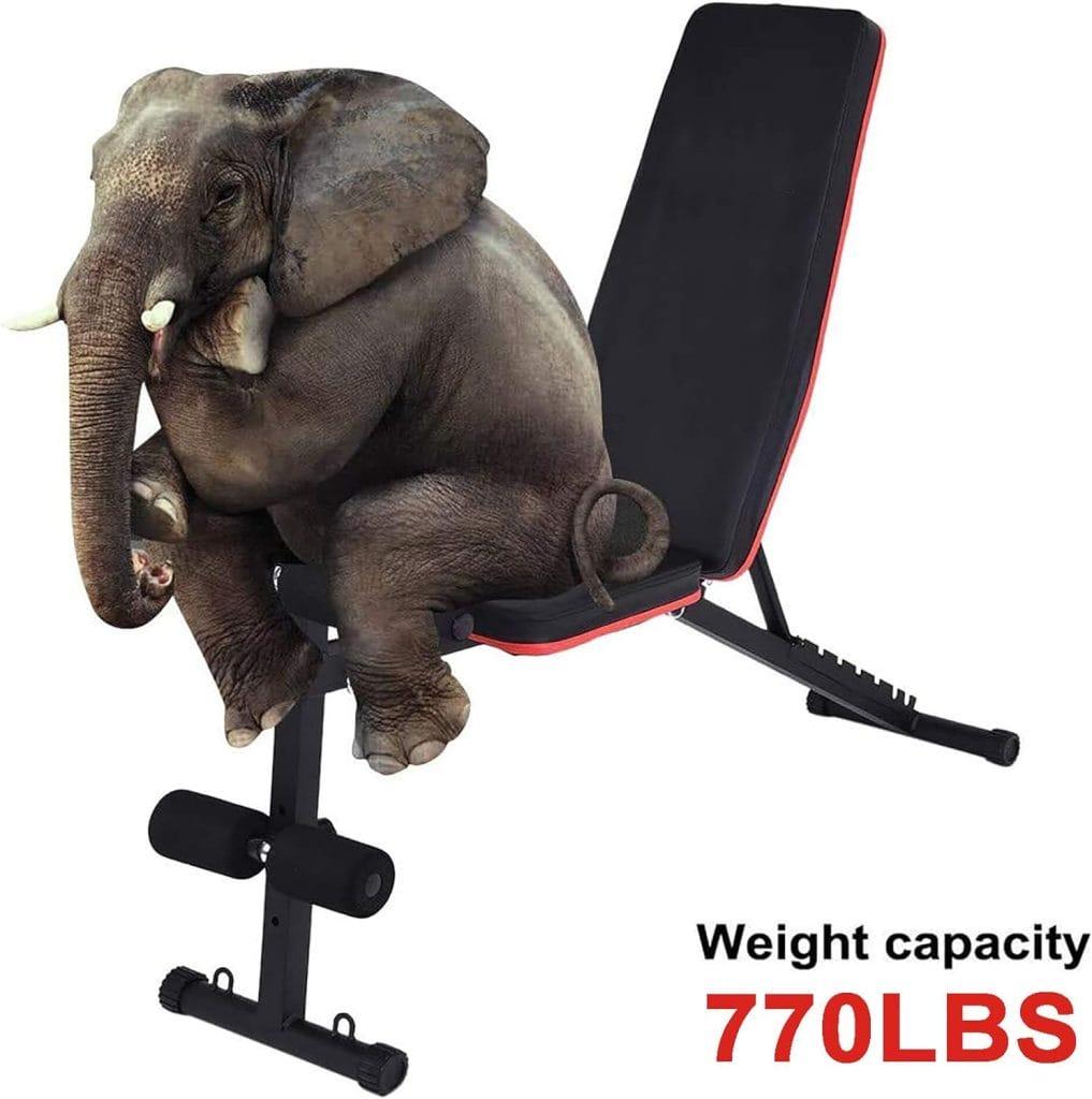 Yizc Adjustable Weight Bench,Roman Chair Sit Up Incline Decline Abs Bench Dumbbell Bench,Foldable Full Body Workout Bench Bench Press Workout Exercise Bench